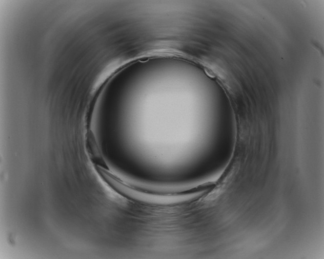 X0000097901430200803141345
