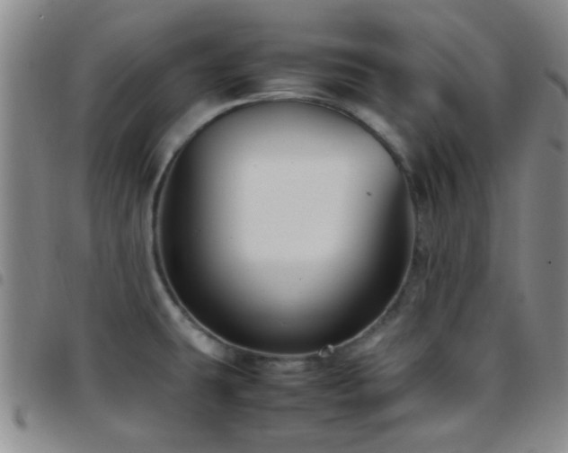 X0000097901431200803141345