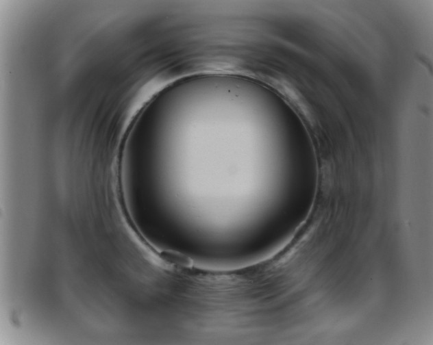 X0000097901432200803141345
