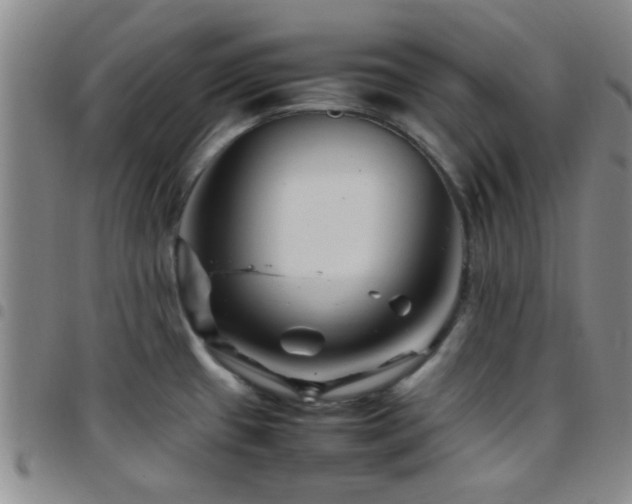 X0000097901433200803141345