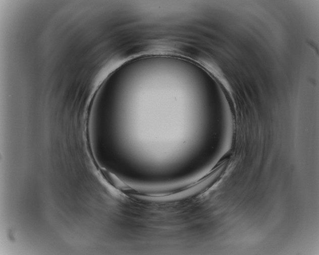 X0000097901437200803141345