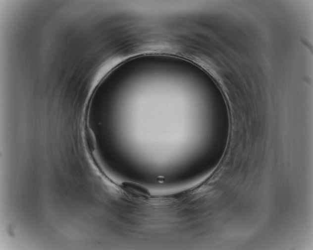 X0000097901440200803141345
