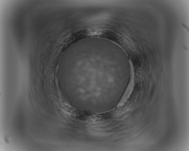 X0000097901441200803141344