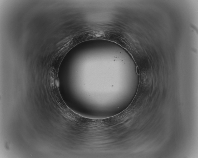 X0000097901442200803141344