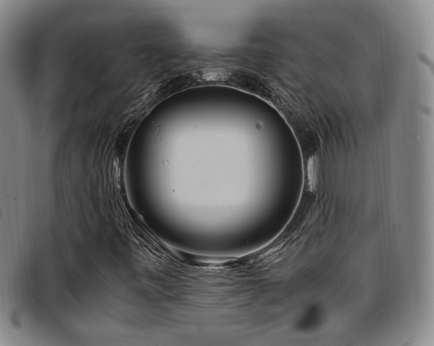 X0000097901443200803141344
