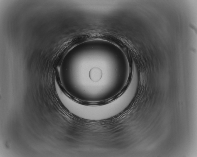 X0000097901444200803141344