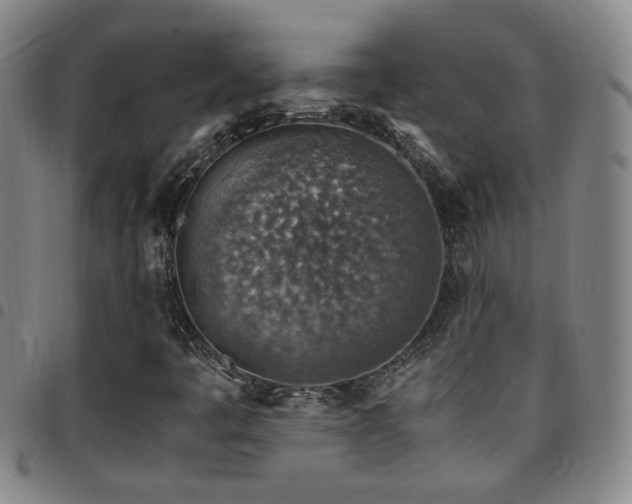 X0000097901445200803141344