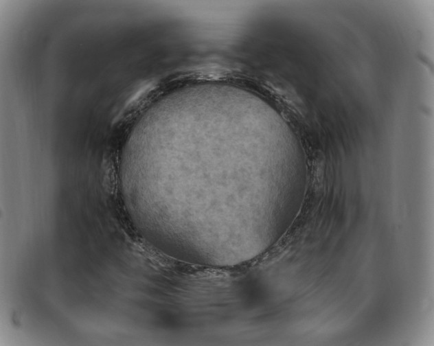 X0000097901446200803141344