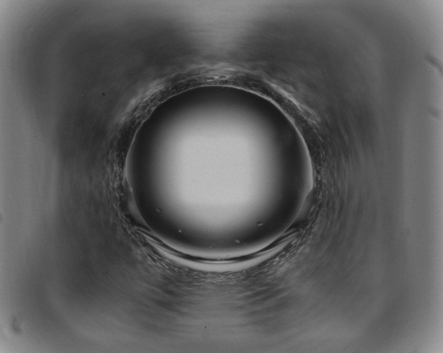 X0000097901447200803141344