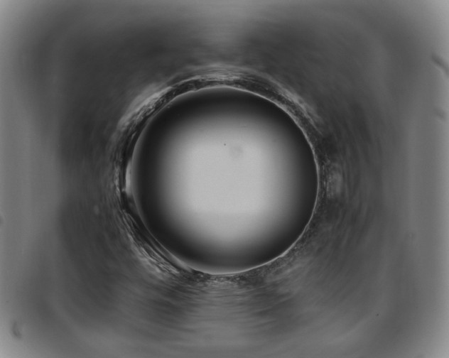 X0000097901448200803141344