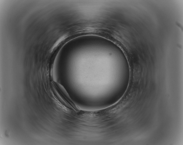 X0000097901450200803141344