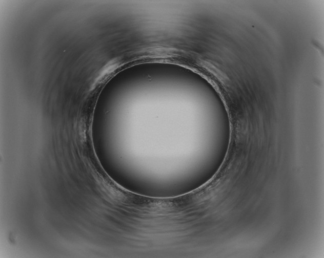 X0000097901451200803141344