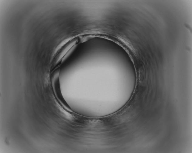 X0000097901452200803141344