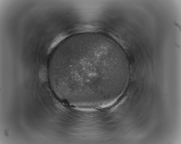 X0000097901453200803141344