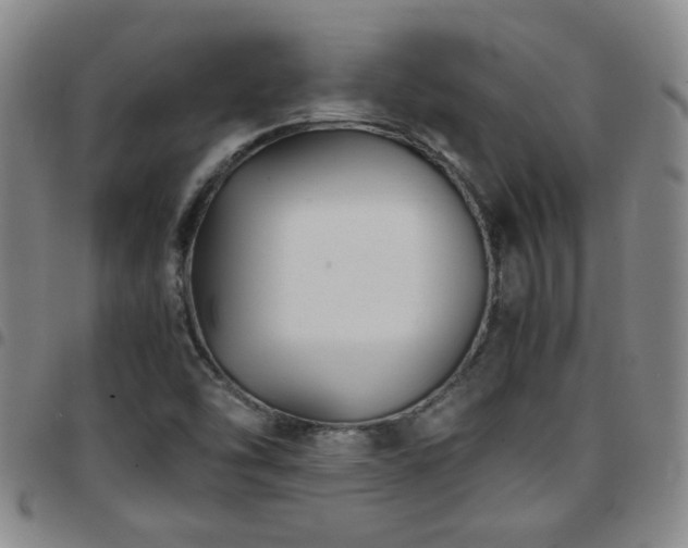 X0000097901454200803141344