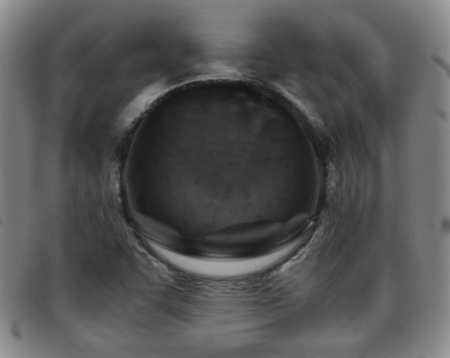 X0000097901455200803141344