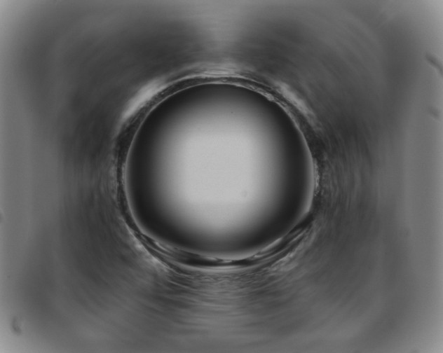 X0000097901456200803141344