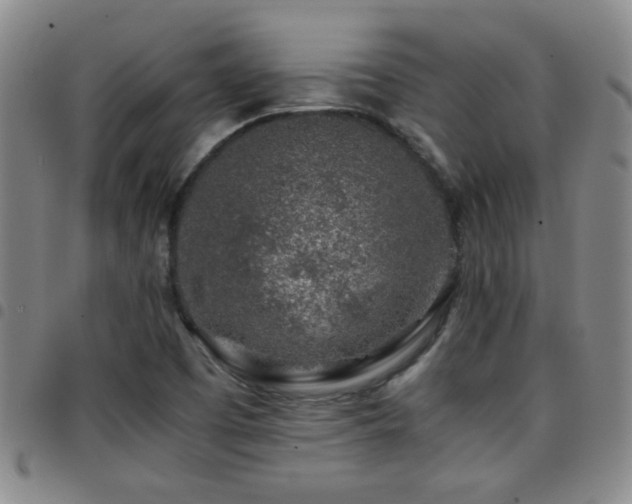 X0000097901457200803141344