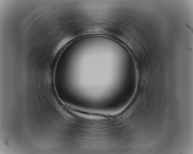 X0000097901458200803141344