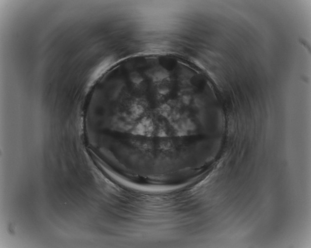 X0000097901459200803141344