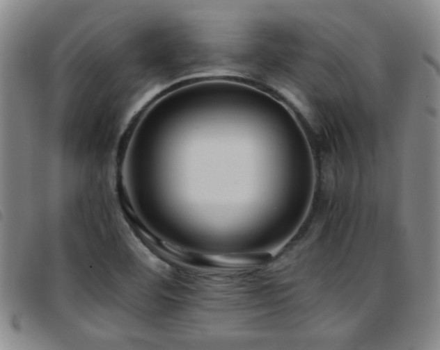 X0000097901460200803141344
