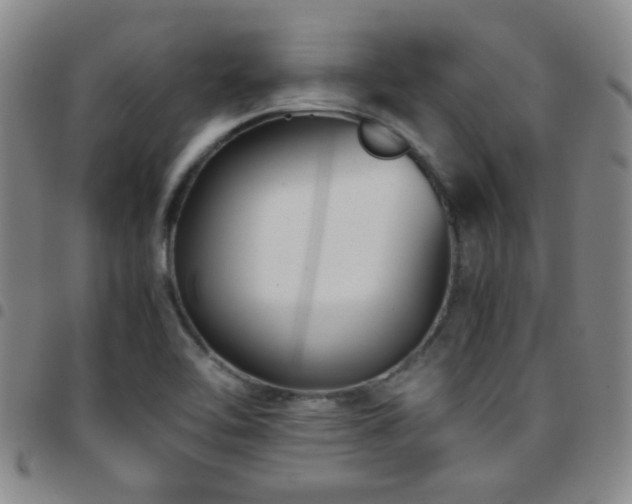 X0000097901462200803141344