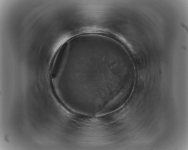 X0000097901463200803141344