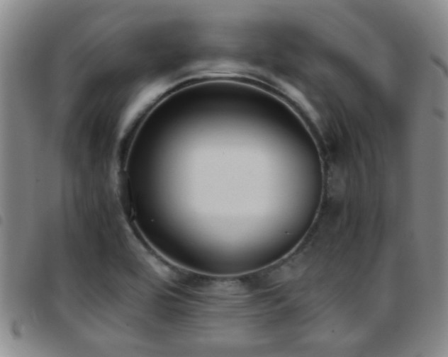 X0000097901464200803141344