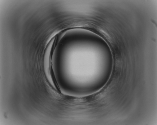 X0000097901465200803141344