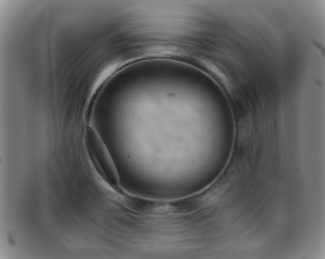 X0000097901467200803141344