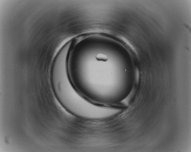 X0000097901468200803141344