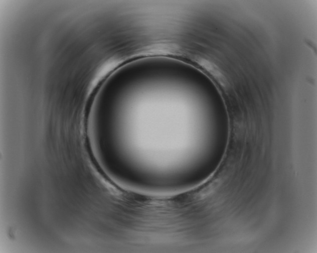 X0000097901469200803141344