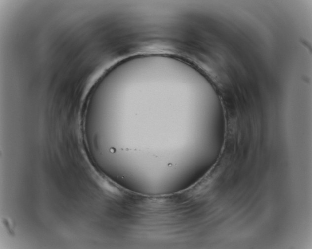 X0000097901470200803141344