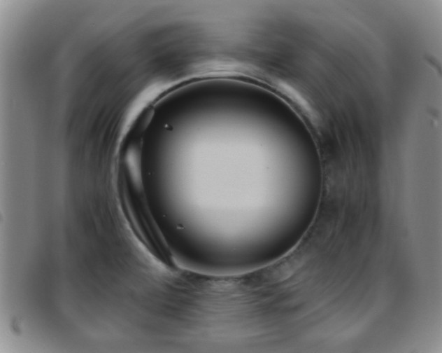 X0000097901472200803141344