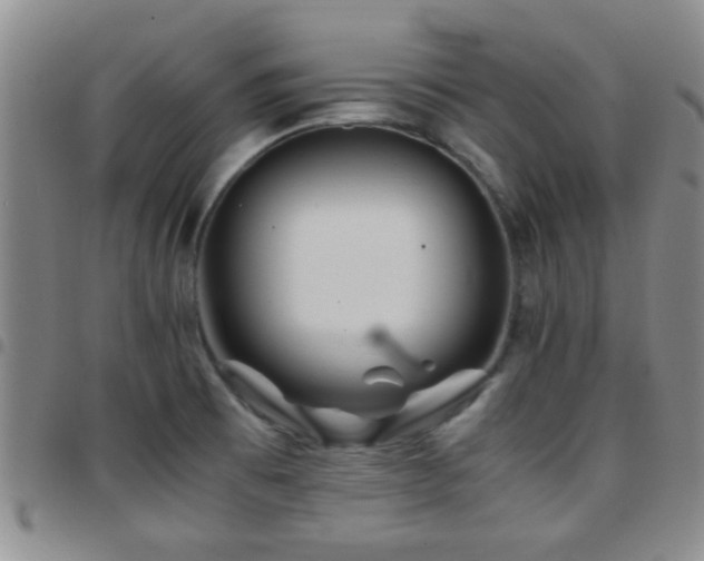 X0000097901473200803141344