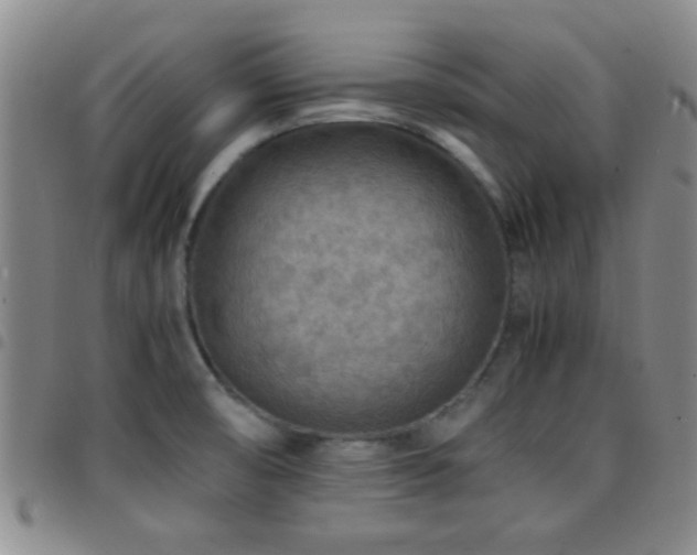 X0000097901474200803141344