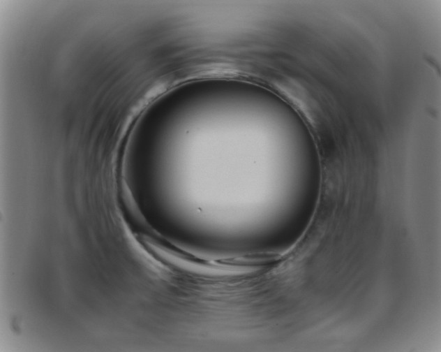 X0000097901475200803141344
