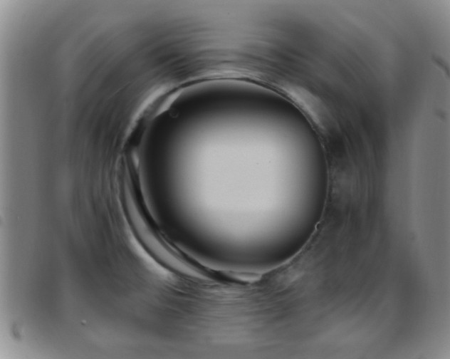 X0000097901476200803141344