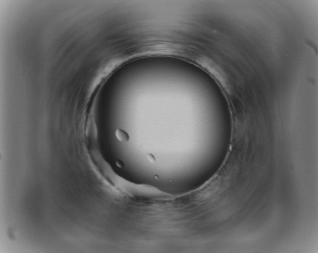 X0000097901477200803141344
