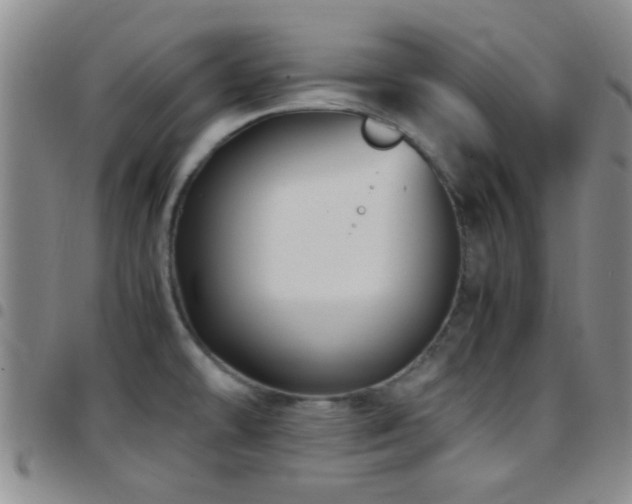 X0000097901478200803141344