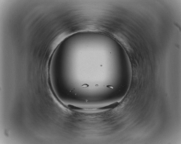 X0000097901479200803141344