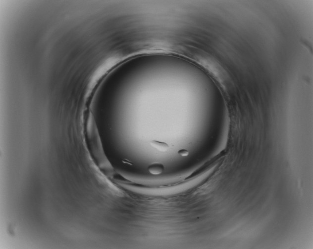 X0000097901480200803141344