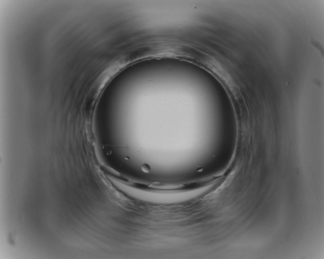 X0000097901481200803141344