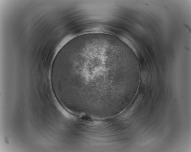 X0000097901482200803141344