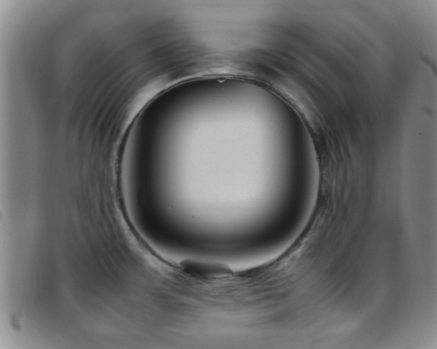 X0000097901483200803141344