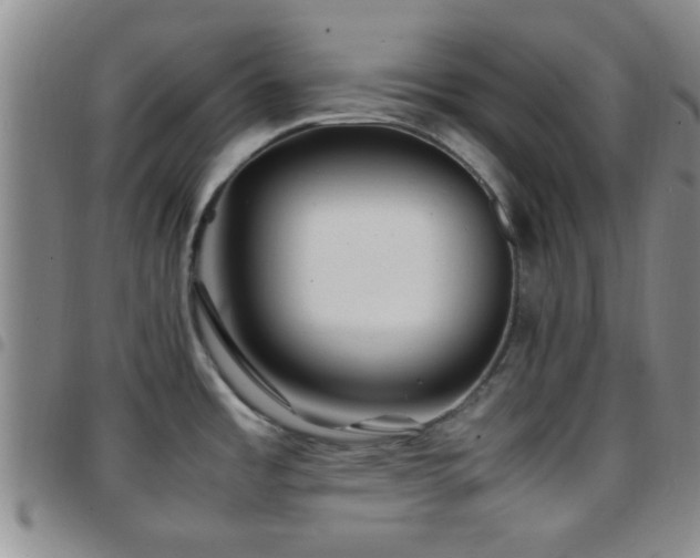 X0000097901485200803141344