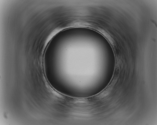 X0000097901486200803141344
