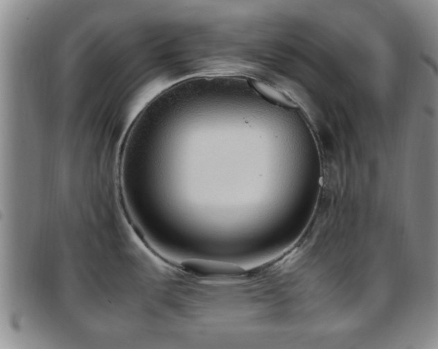 X0000097901487200803141344