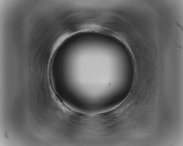 X0000097901488200803141344