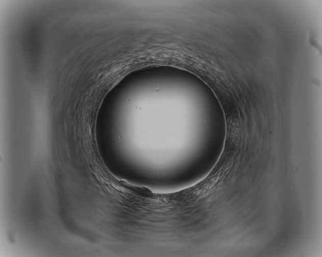 X0000097901489200803141343